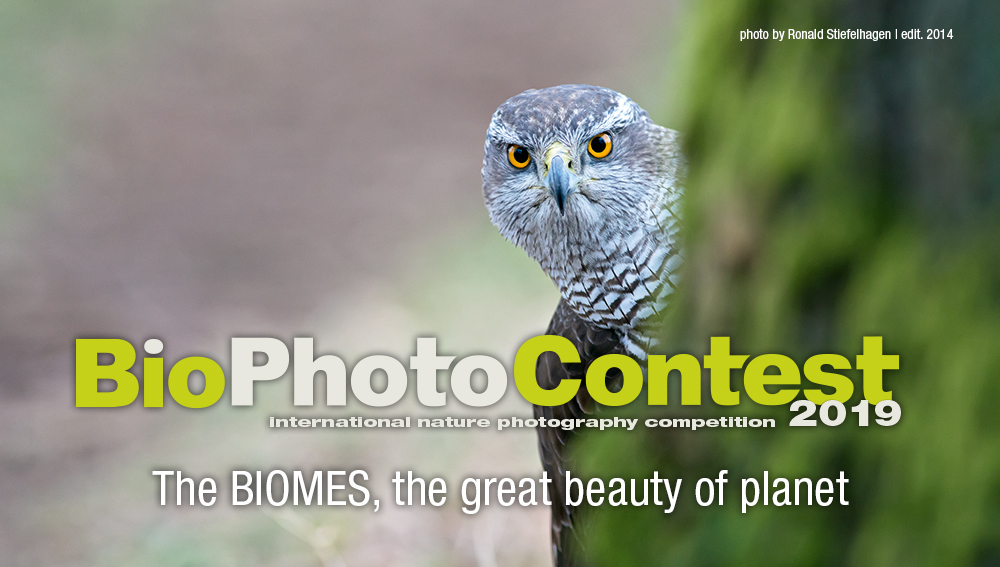 BioPhotoContest 2019