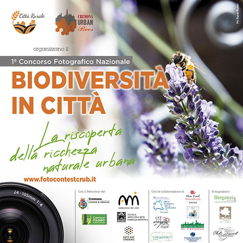 Biodiversità in città: la riscoperta della ricchezza naturale urbana