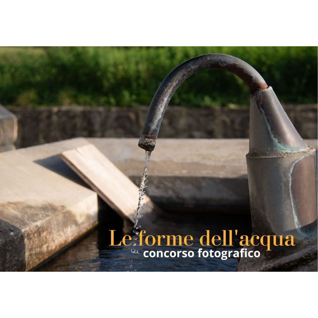 Concorso fotografico “Le forme dell