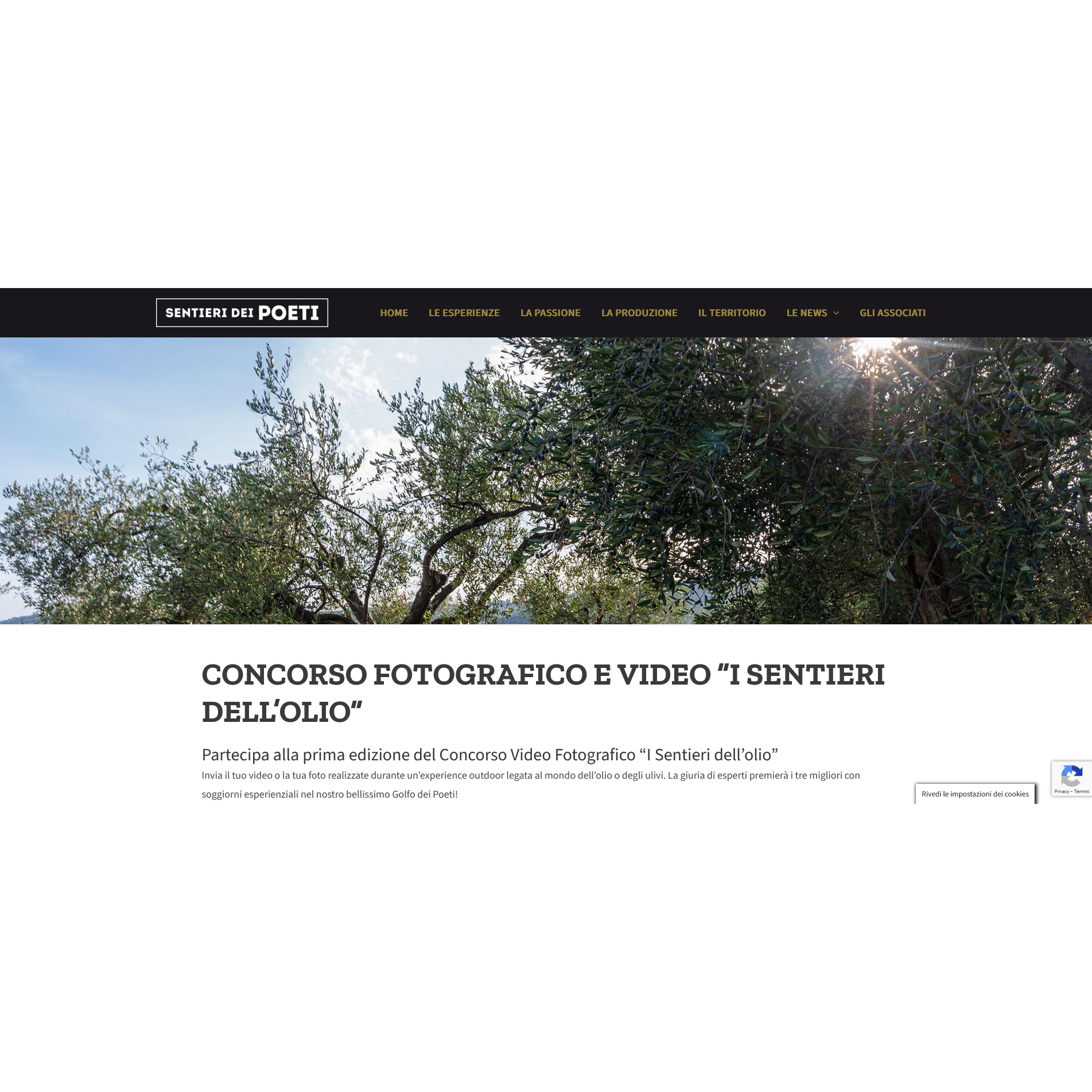 Concorso Video Fotografico “I Sentieri dell’olio”