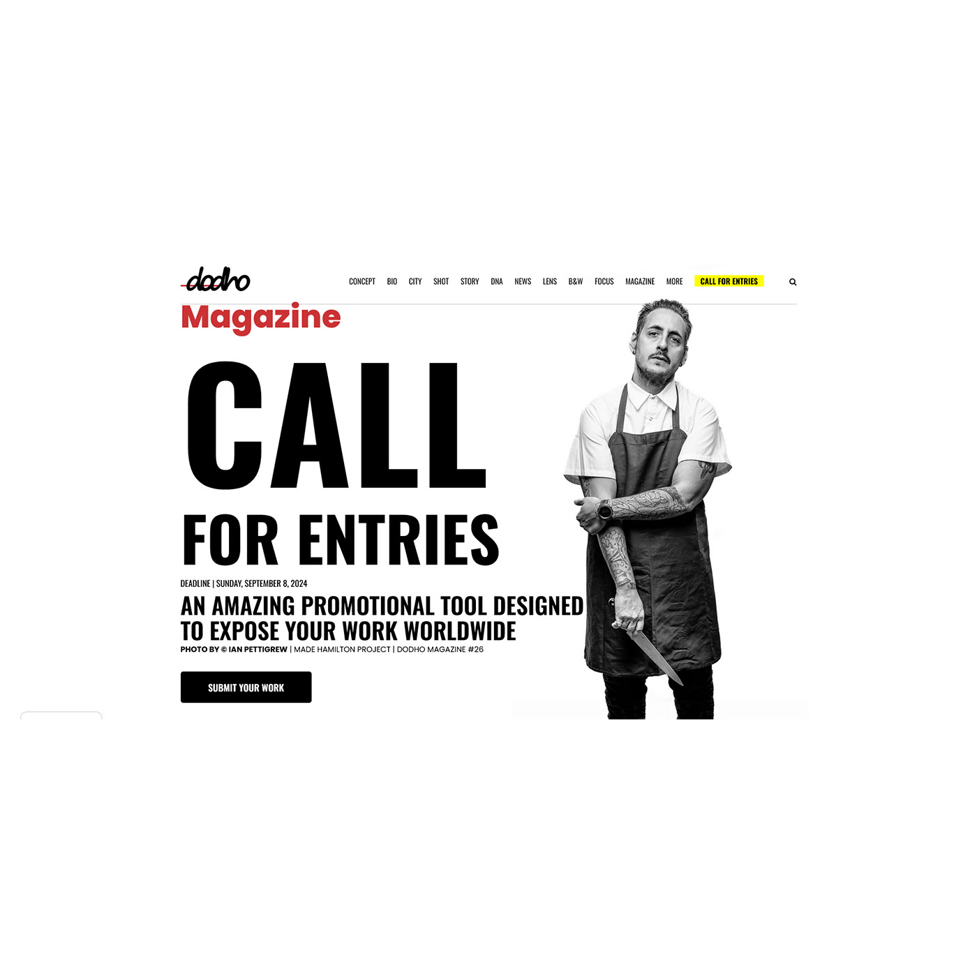 DODHO - CALL FOR ENTRIES #30