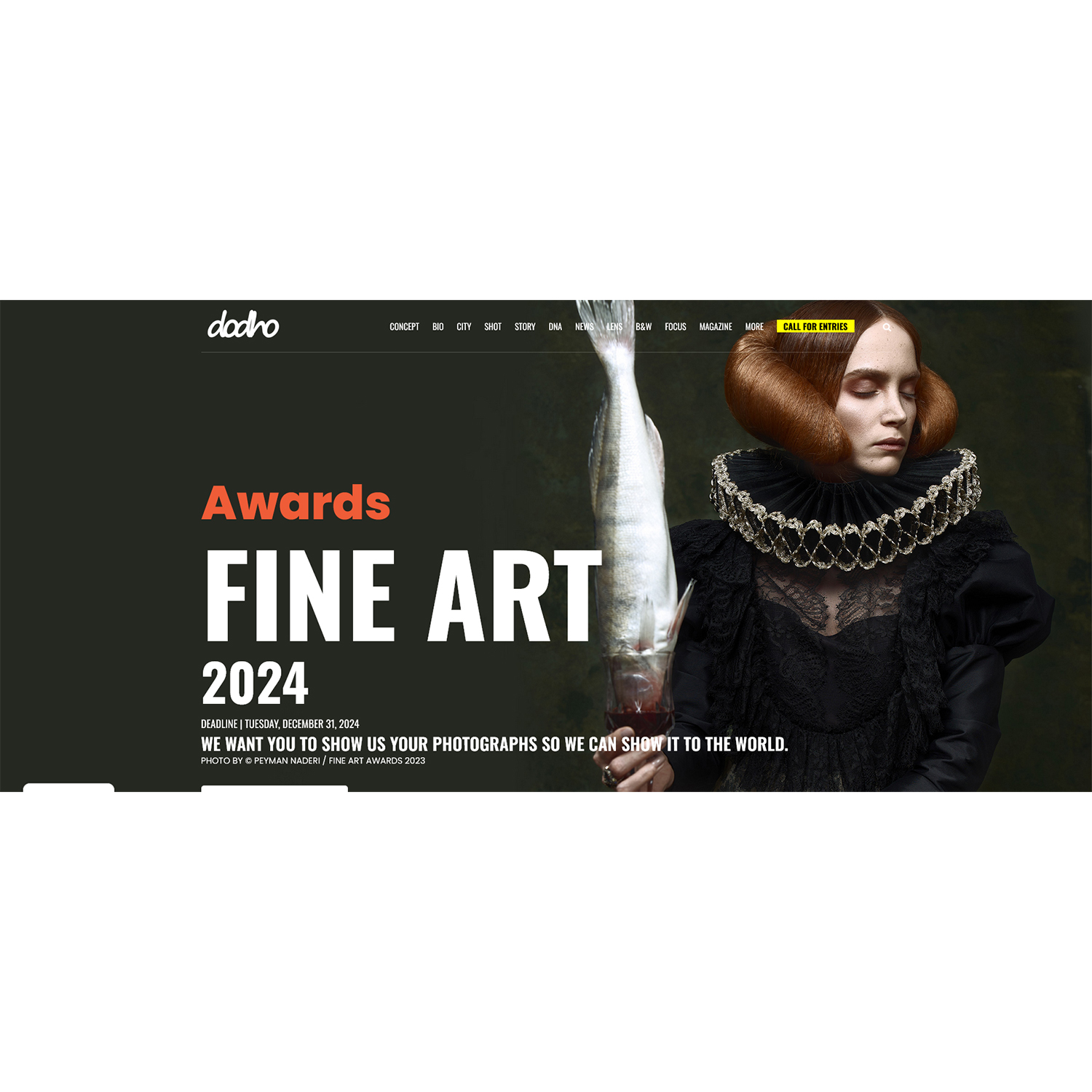 Dodho Magazine: Fine Art Awards 2024