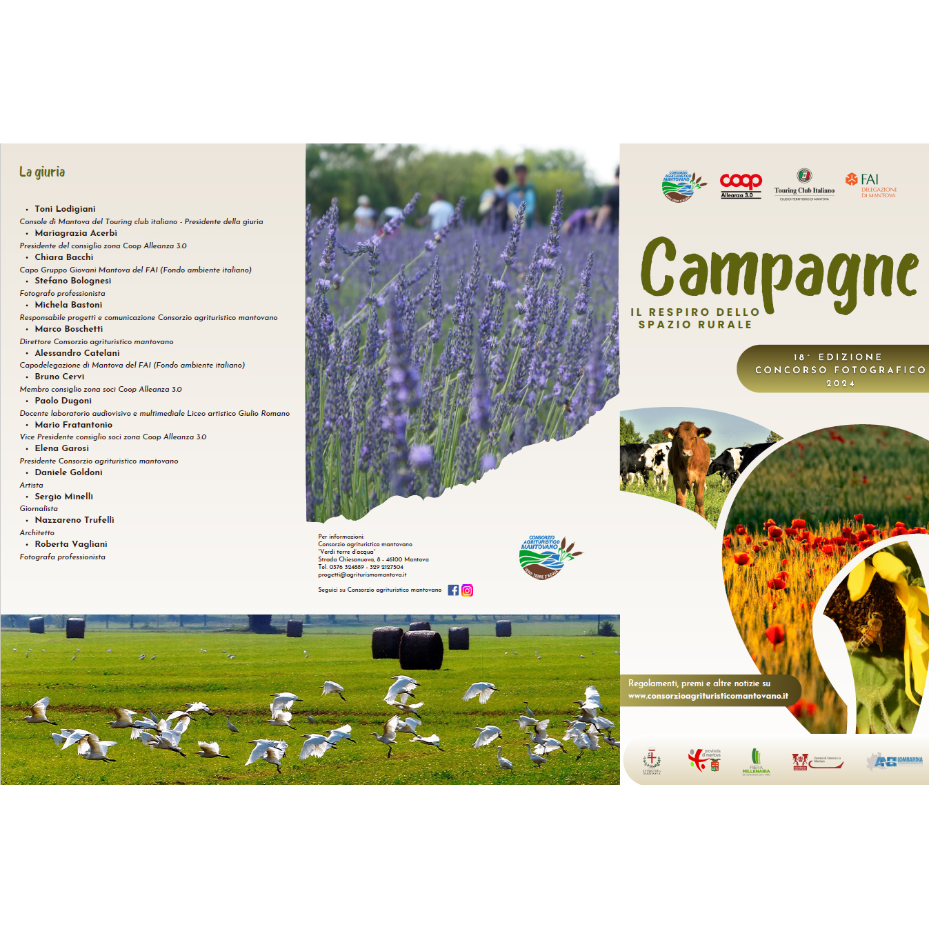 Concorso fotografico  «Campagne 2024» - XVIII edizione