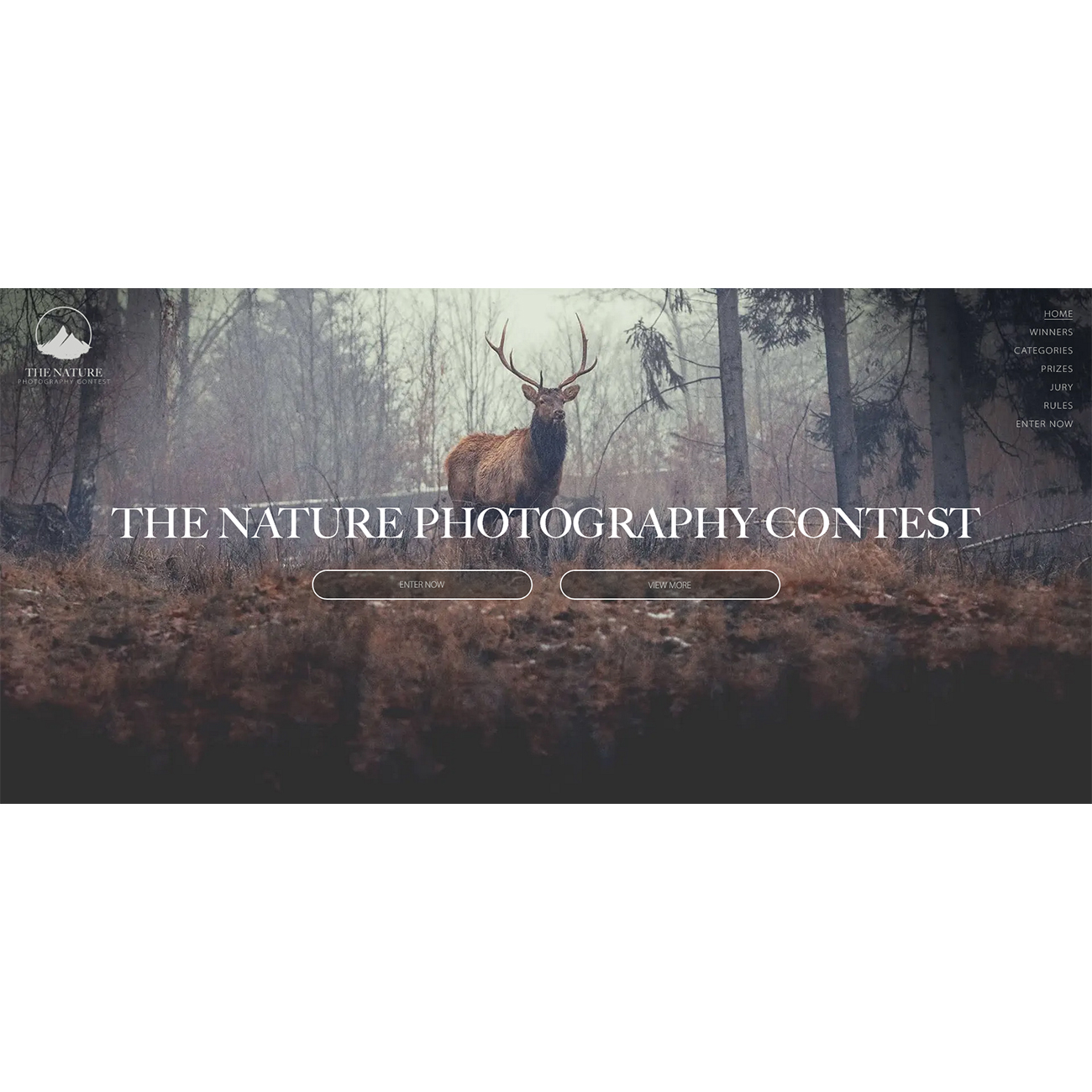 The Nature Photography Contest 2024