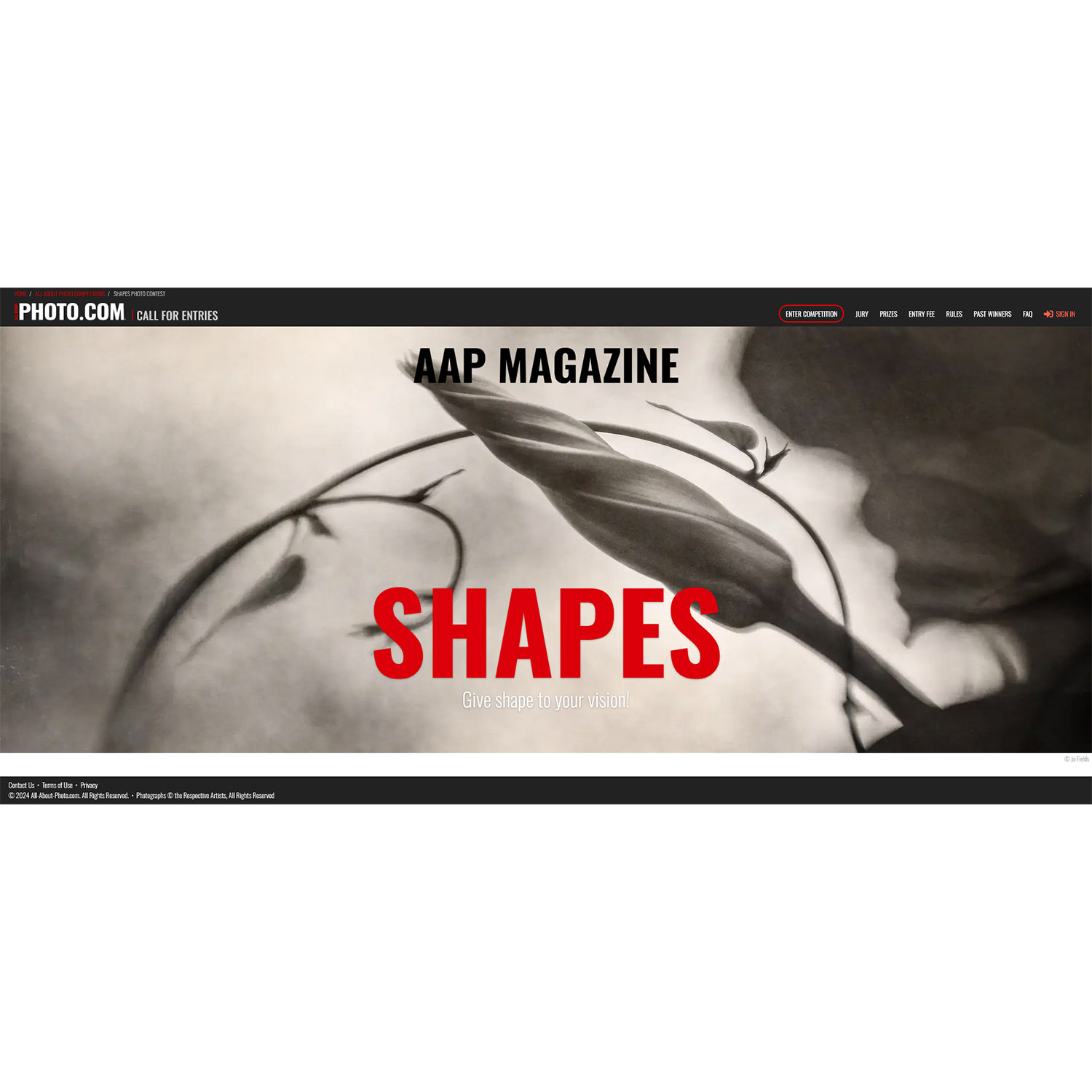 AAP Magazine #42 Shapes